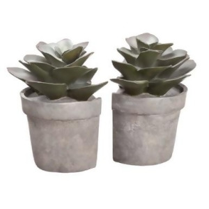 Pack of 2 Artificial Potted Succulent Bookends 6.25 - All