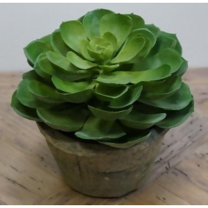 6.75 Potted Southwestern Artificial Succulent Plant - All