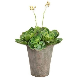 22 Artificial Spring Flowering Succulent in Decorative Clay Pot - All