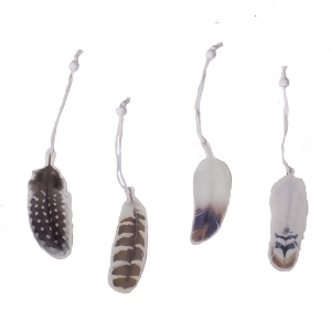 Club Pack of 96 Brown White and Blue Small Hanging Feather Ornaments 5.25 - All