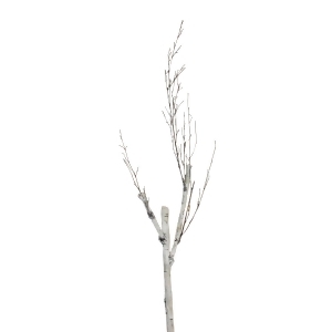 46.5 White and Brown Birch Branch Decoration - All