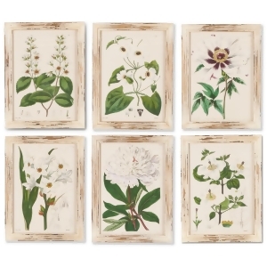 Set of 6 White and Green Botanical Series Rectangular Framed Wall Art 16 - All