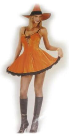 Orange and Black Witch Women Adult Halloween Costume - Large