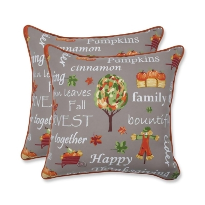 Set of 2 Gray and Orange Autumn Harvest Haystack Thanksgiving Square Throw Pillows 18.5