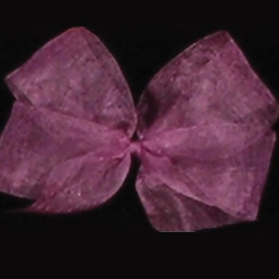 Tea Rose Pink and Purple Organdy Craft Ribbon 1
