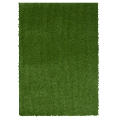 5' x 7' Green Solid Rectangular Faux Fur Outdoor Area Throw Rug 