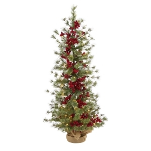 https://img.shop.com/Image/240000/248000/248061/products/1949178931__300x300__.jpg