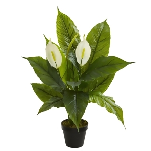 https://img.shop.com/Image/240000/248000/248061/products/1968335473__300x300__.jpg