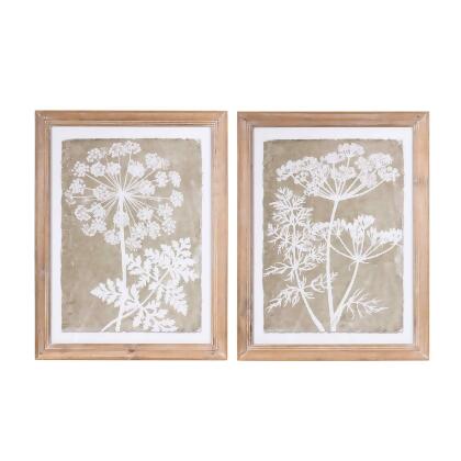Set of 2 Brown and White Queen Anne's Floral Framed Wall Art, 21.75