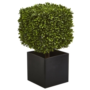 https://img.shop.com/Image/240000/248000/248061/products/1977826717__300x300__.jpg