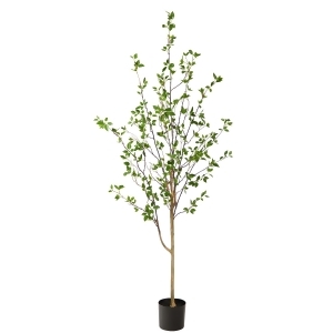 https://img.shop.com/Image/240000/248000/248061/products/1979038106__300x300__.jpg