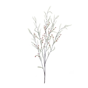 https://img.shop.com/Image/240000/248000/248061/products/1979077949__300x300__.jpg