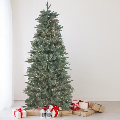 Northlight 12' Pre-Lit Slim Washington Frasier Fir Artificial Christmas Tree - Clear Lights