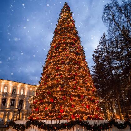 Pre-Lit Giant Olympia Pine Commercial Artificial Tower Christmas Tree - 26’ - Warm White LED Lights 