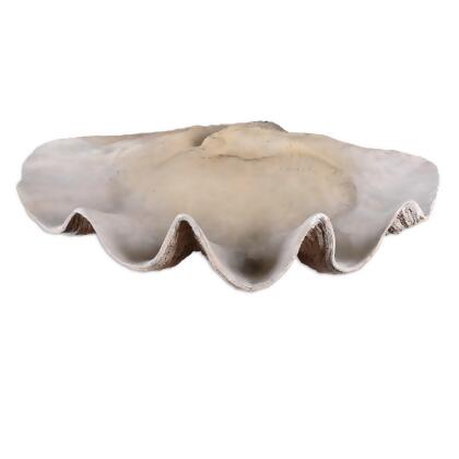 Realistic Clam Shell Shaped Decorative Bowl - 23