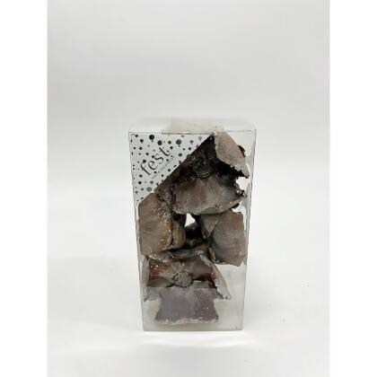 Dried Coconut Poppy Bowl Fillers - 7.75