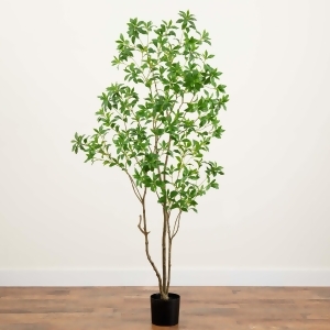 UPC 192897455282 product image for Minimalist Japanese Pieris Artificial Potted Tree - 7' - All | upcitemdb.com
