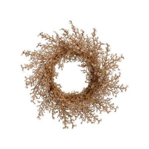 28 Elegant Gold Iced Twig Artificial Christmas Wreath Unlit - All