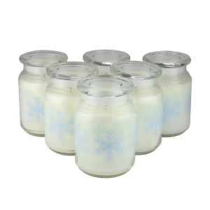 Pack Of 6 Iced Berry Scented 20 Oz. Jar Candles - All