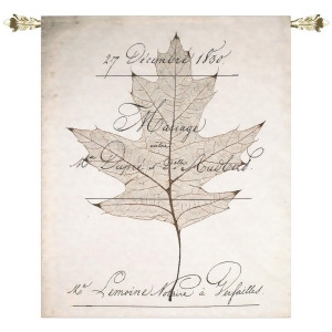 Birch Document with Leaf and Script Cotton Wall Art Hanging Tapestry 47 x 38 - All