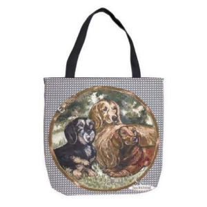 Dachshund Dog Decorative Shopping Tote Bag 17 x 17 - All