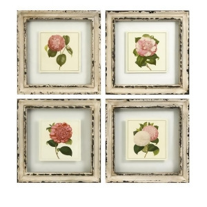 Set of 4 White and Pink Flower Blanchefleur Print Wall Artwork in Cream Frames - All