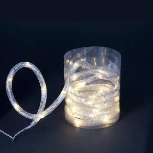 9.8' Led Warm White Christmas Rope Light with Silver Mesh Lining - All