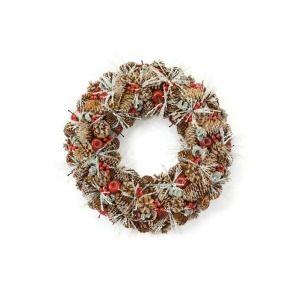 18 Eco Country Iced Pine Cone Artificial Apple Berry Christmas Wreath - All