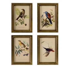 Set of 4 Vibrant Wooden Bird Plaques with Gold Frames - All