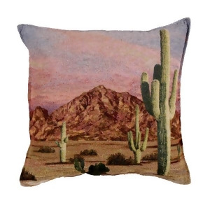 17 Camelback Mountain Phoenix Arizona Tapestry Throw Pillow - All