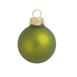 Matte Green Kiwi Glass Ball Christmas Ornament 7 180mm - All