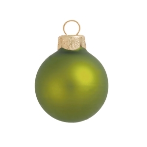 12Ct Matte Green Kiwi Glass Ball Christmas Ornaments 2.75 70mm - All