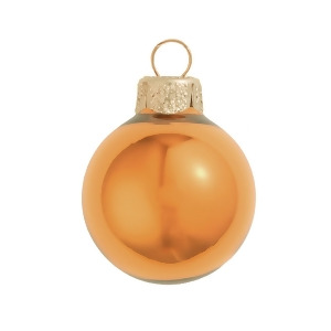 12Ct Pearl Burnt Orange Glass Ball Christmas Ornaments 2.75 70mm - All