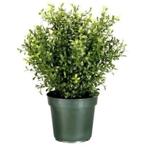 30 Potted Artificial Realistic Argentea Jade Plant - All