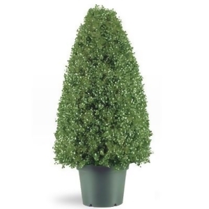 36 Potted Artificial Boxwood Topiary Tree - All