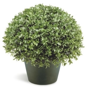 13 Potted Artificial Japanese Holly Bush - All