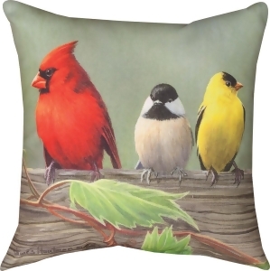 18 Birds on a Line Cardinal Decorative Outdoor Patio Throw Pillow - All
