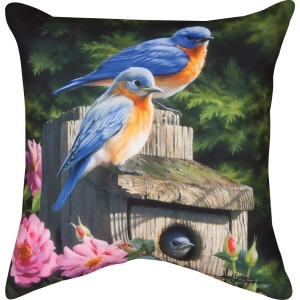 18 Birdhouse Blues Decorative Outdoor Patio Throw Pillow - All