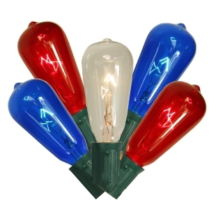 Set of 10 Transparent Red Clear Blue 4th of July St40 Edison Style Christmas Lights Green Wire - All
