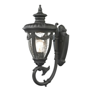 Elk Lighting Anise Collection 1 Light Outdoor Sconce 45075-1 - All
