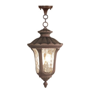 Livex Lighting Oxford Outdoor Chain Hang in Imperial Bronze 7658-58 - All