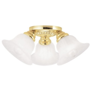 Livex Lighting Edgemont Ceiling Mount in Polished Brass 1529-02 - All