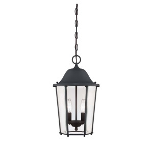 Savoy House Truscott 2 Light Hanging Lantern in Black 5-6210-Bk - All
