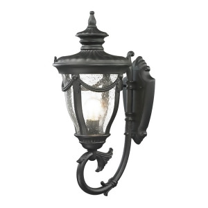Elk Lighting Anise Collection 1 Light Outdoor Sconce 45076-1 - All
