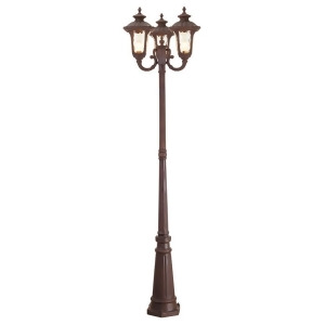 Livex Lighting Oxford Outdoor 3 Head Post in Imperial Bronze 7666-58 - All