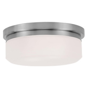 Livex Lighting Isis Ceiling Mount or Wall Mount in Brushed Nickel 7391-91 - All