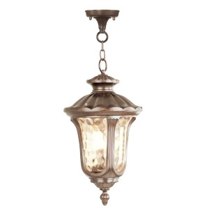 Livex Lighting Oxford Outdoor Chain Hang in Moroccan Gold 7658-50 - All