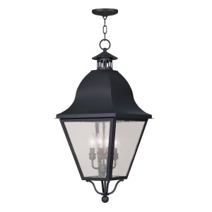 Livex Lighting Amwell Outdoor Chain Hang in Black 2547-04 - All
