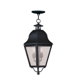 Livex Lighting Amwell Outdoor Chain Hang in Black 2546-04 - All