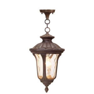 Livex Lighting Oxford Outdoor Chain Hang in Imperial Bronze 7654-58 - All
